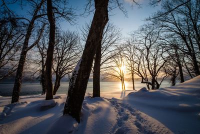 Bare trees on snow covered field against sky