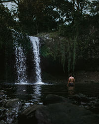 Scenic view of waterfall in forest
