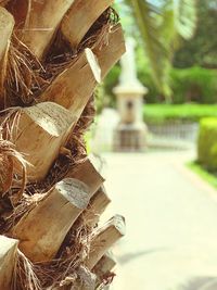 Close-up of stack of logs