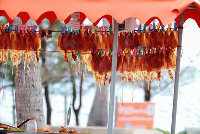 Close-up of multi colored squid for sale in street market