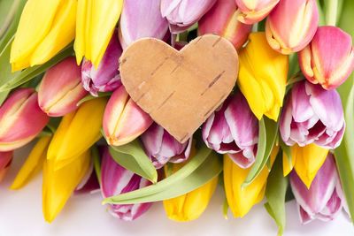 Close-up of multi colored flowers on table