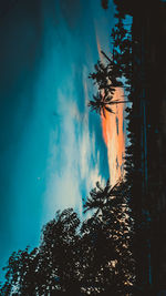 Panoramic view of plants and trees against sky