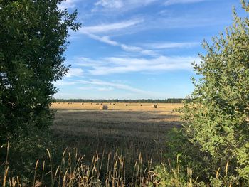 Hay bales on field against sky