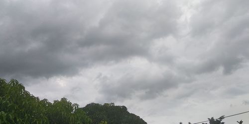 Low angle view of trees against cloudy sky