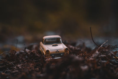 Close-up of small toy car on field