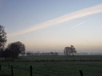 Scenic view of field against sky during foggy weather