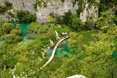 High angle view of water flowing through rocks in forest