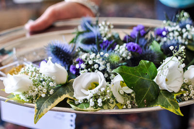 Close-up of flowers in plate