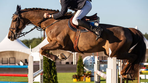 Low section of man riding horse