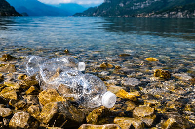 Plastic bottles abandoned on a beach. water pollution, microplastics, waste.