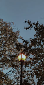 Low angle view of illuminated street light against sky