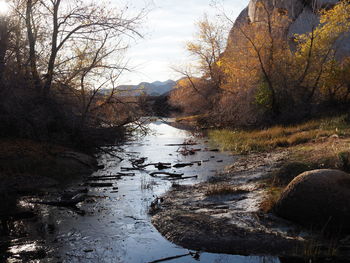 Stream flowing through rocks in forest against sky