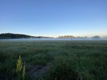 Scenic view of land against clear sky