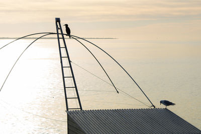 Bird perching on a fishing hut