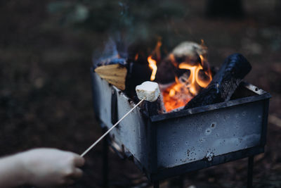 Close-up of bonfire on wooden log