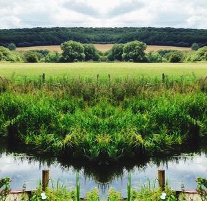 Scenic view of field against cloudy sky