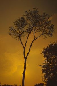 Low angle view of silhouette tree against sky during sunset