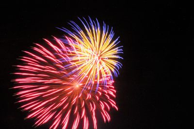 Low angle view of firework display against sky at night