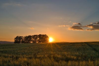 Scenic view of field against sky during sunset