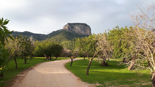 Panoramic view of green landscape against sky