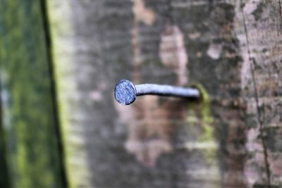 Close-up of faucet against wall