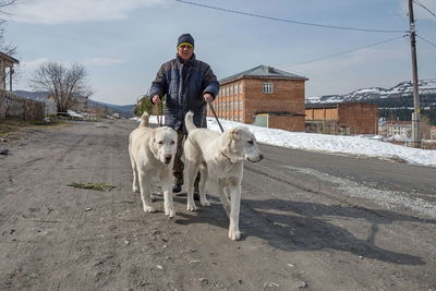 domestic animals