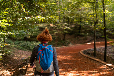 Rear view of man in forest