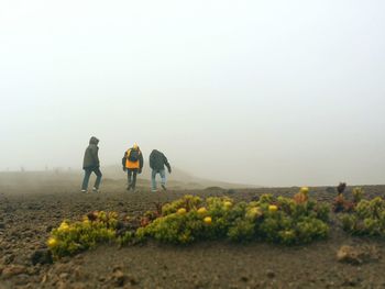 Rear view of three people walking on field