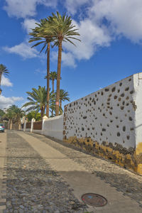 View of palm trees against sky