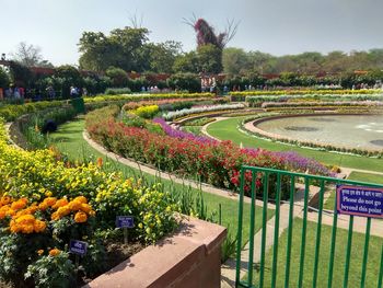 View of flowering plants in garden