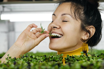 Young woman farmer growing microgreens on urban indoor vertical garden.  eating veggies