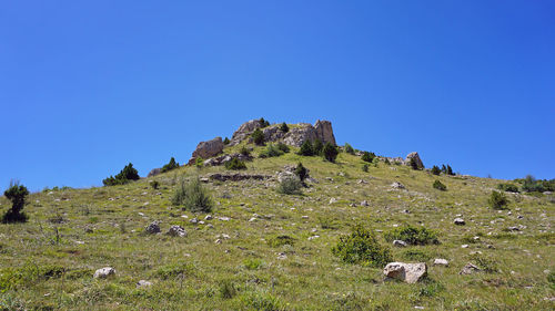 Low angle view of castle on field against clear blue sky