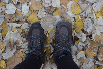 Trekking boots among autumn leaves