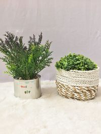 Close-up of potted plant in basket against wall