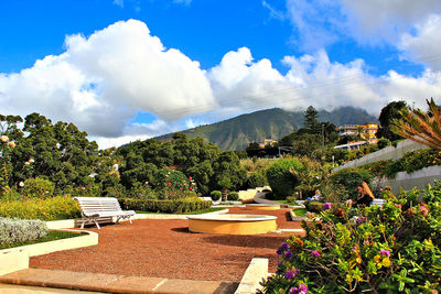 Panoramic view of trees and mountains against sky