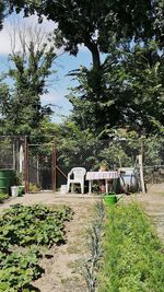 View of footpath in park