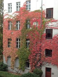 Exterior of building