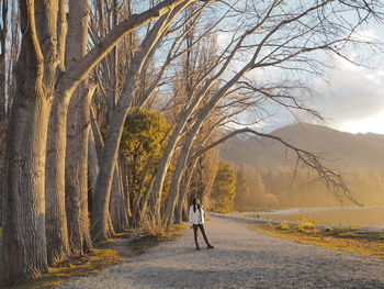 Man walking on road amidst bare trees