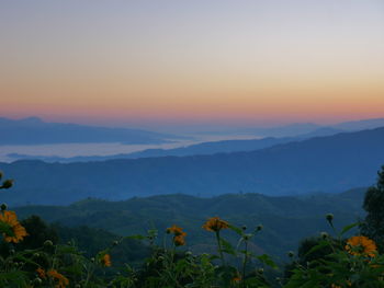 Scenic view of field against sky during sunset