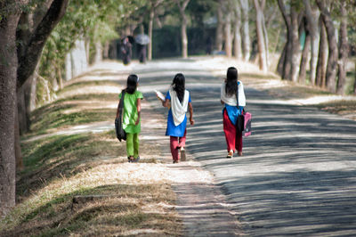 Rear view of female friends walking on road amidst trees
