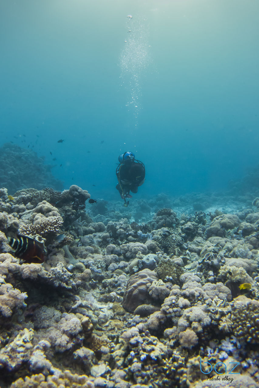 MAN SWIMMING IN SEA AGAINST UNDERWATER