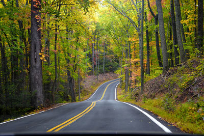 Road amidst trees in forest