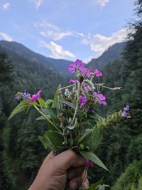 plant