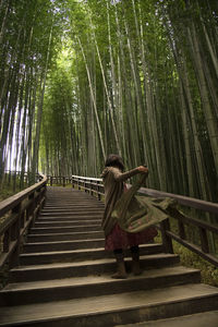 View of a dancing woman in the bamboo forest