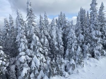 Frozen trees on snow covered land against sky