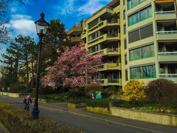 Road by trees against sky in city