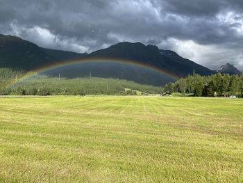 Scenic view of field against sky