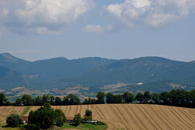 Scenic view of field against sky