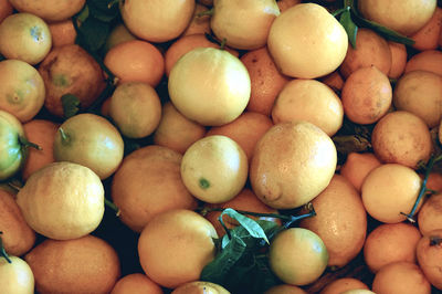 Full frame shot of oranges