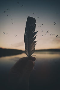 Close-up of hand holding bird flying over the sea